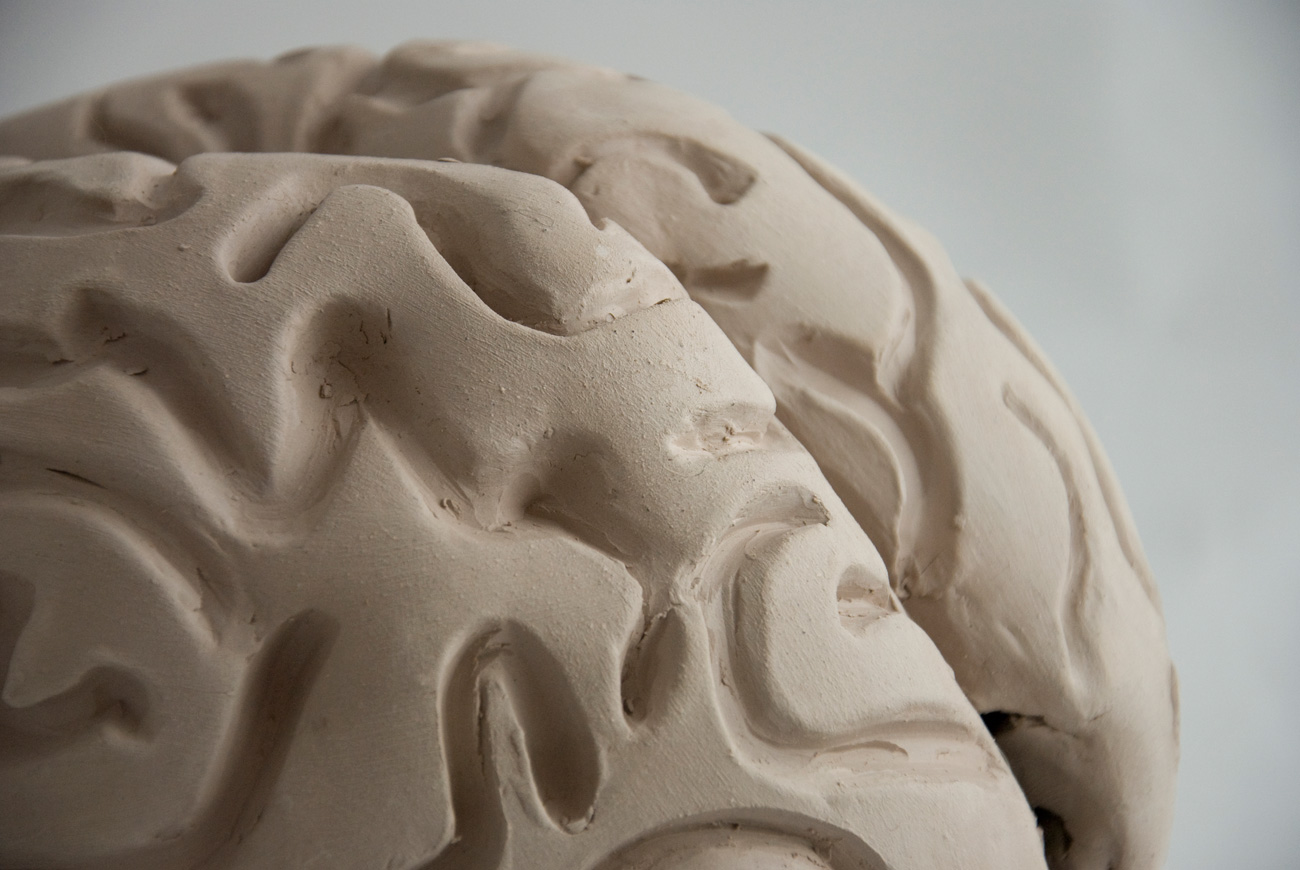 brain-4-DSC_0666